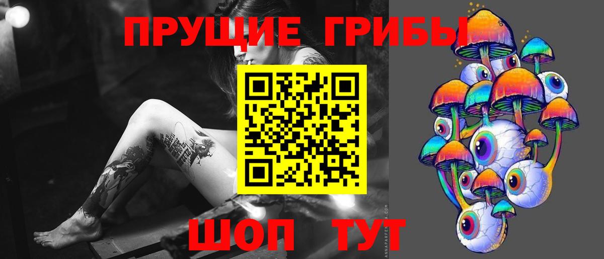 Псилоцибиновые грибы MAGIC MUSHROOMS  Вход с VPN  Десногорск  Псилоцибиновые грибы Psilocybe 